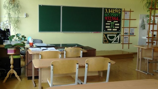 Prieš artėjančius Seimo rinkimus – parlamentarai atsigręžia į nykstančias kaimo mokyklas