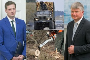 Įtūžo dėl vertingos sengirės naikinimo: valdžia rado priežasčių iškirsti medžius net draustinyje