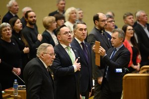 Ekspertai įvertino Antiastravinį sąjūdį: kalbėti reikia, tačiau svarbiau – realūs Lietuvos veiksmai