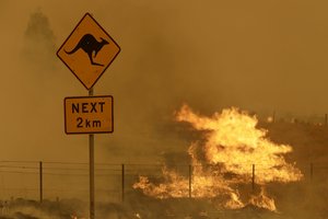 Australijoje – tyrimas dėl 33 žmonių gyvybių nusinešusio krūmynų gaisro 