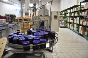 Atsigręžė į metų pabaigą – štai kiek yra neužimtų darbo vietų