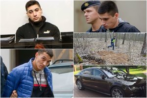 Paskutinis Ievos Strazdauskaitės žudikų gaujos žodis: vadeiva vos neapsiverkė