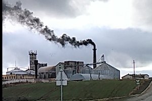 Incidentas Obeliuose – aplink spirito varyklą pajuodavo net dangus: to dar nebuvo matę