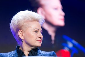D. Grybauskaitė – apie savo ateitį, planus politikoje ir dabartinę situaciją: „Žemiau plintuso“
