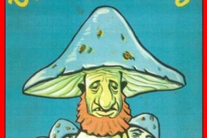 Aušvico muziejus pareikalavo „Amazon“ pašalinti nacių propagandos knygas