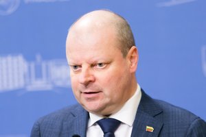 Ekspremjeras: jei S. Skvernelis liktų su valstiečiais, suprasčiau tik dėl vienos aplinkybės