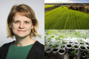 VDU mokslininkė – apie ateities maistą Lietuvoje: užauginsime daug, bet jis bus bevertis