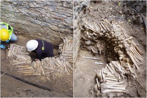 Šiurpus atradimas kapinėse užminė mįslę mokslininkams