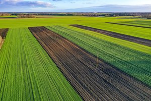 Įsiterpusius laisvos valstybinės žemės plotus jau galima pirkti be aukciono