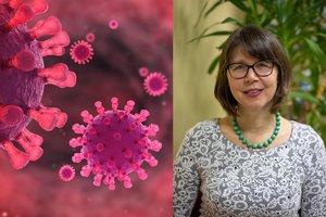 Gydytoja: „Šiandien didžiausią baimę turėtų kelti ne ūminės infekcijos ir virusai“