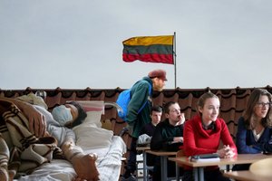 EK negailestinga: Lietuvos fronte nieko naujo – bandydami įveikti opas nepajudame iš mirties taško