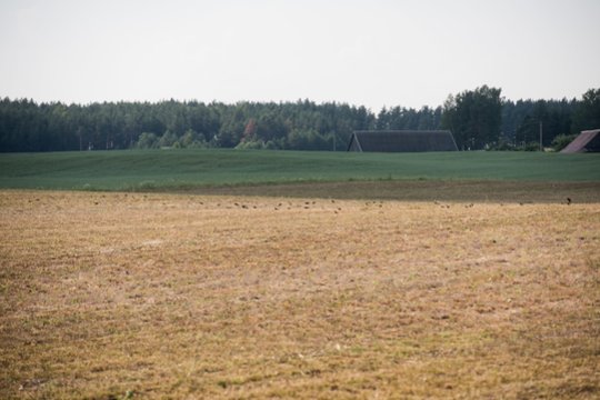 Vyriausybė atšaukė ekstremalią padėtį dėl sausros