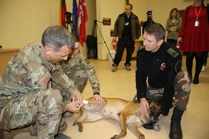 Amerikiečiai moko lietuvius: apie šunų panaudojimą karo metu ir pirmąją pagalbą keturkojams