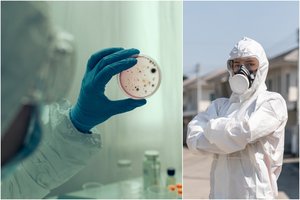 Kada ir kaip baigsis koronaviruso epidemija?