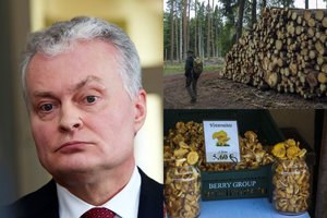 Gitanas Nausėda: Punios šile turi būti nutraukta bet kokia veikla