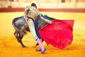 Jei bulių raudona spalva neveikia – tai kodėl jie puola raudoną audeklą?