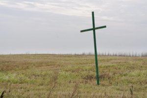 Nuimti žalius kryžius ūkininkams rekomendavo dar sausį, bet jie stovi