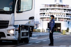 Su vilkiku po Italiją važinėjęs lietuvis papasakojo, kas vyko grįžus namo 