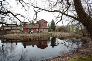 Kas galėjo to tikėtis: miesto parke – kauniečių daržai, o žmonės gyvena karvelidėse