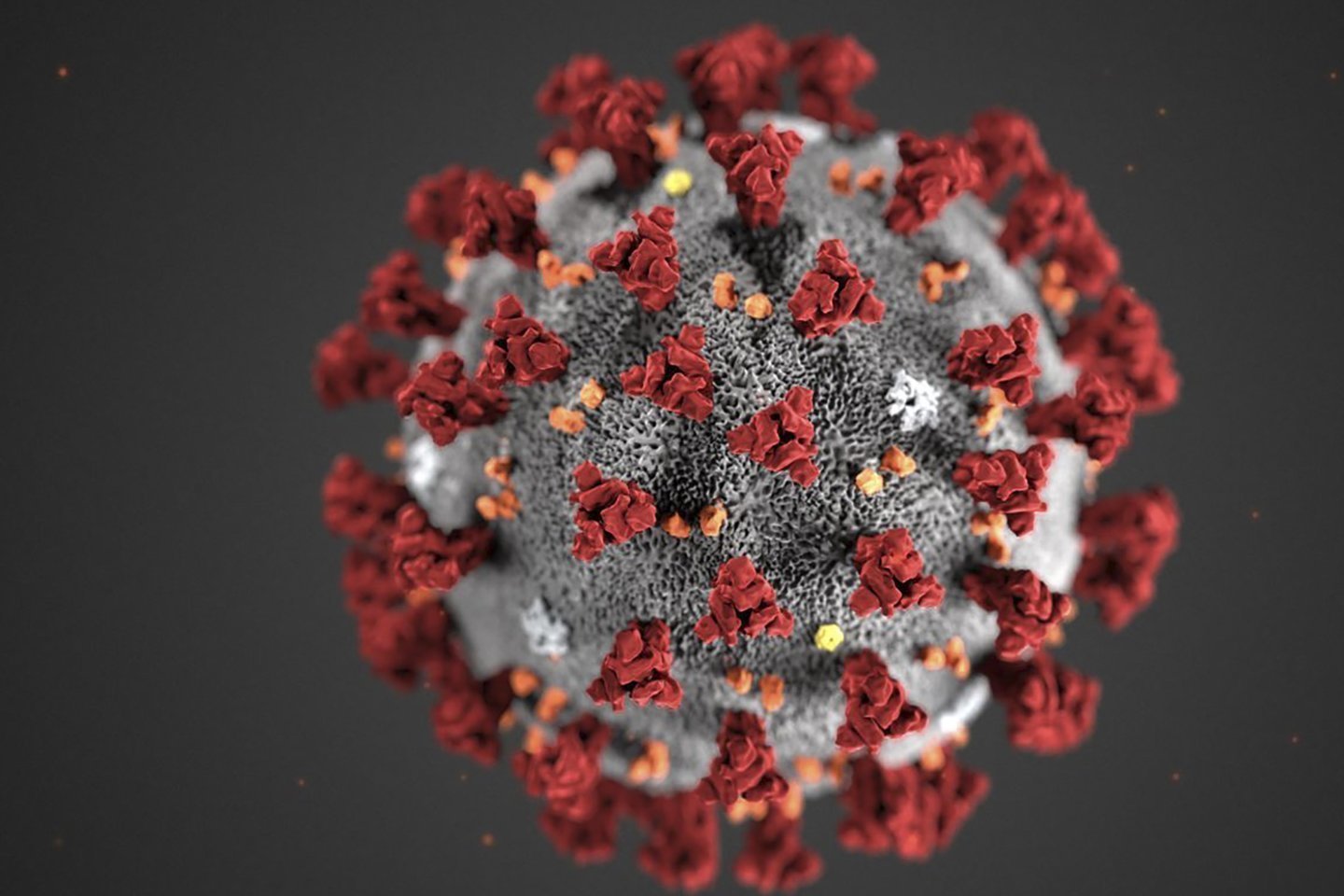 Taip atrodo koronavirusas.<br> Reuters/Scanpix nuotr.