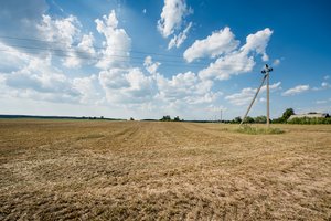 Renkamos paraiškos dėl paramos draudimo nuo sausros įmokoms kompensuoti