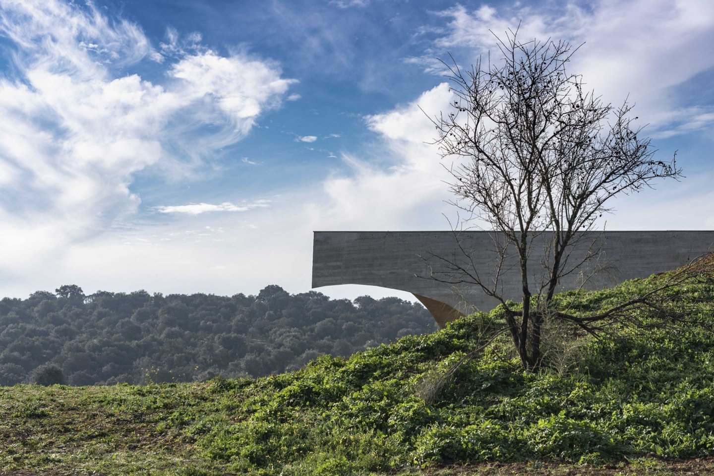 Priešais beribį dirbtinį Alkevos (Alqueva) ežerą Portugalijoje esantis 174 kv. m ploto namas paskelbtas „Archdaily“ metų namu. <br>Joeo Guimaroes / archdaily.com nuotr.