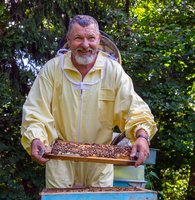  VDU mokslininkas: po besniegės žiemos – neįprasta situacija dėl bičių