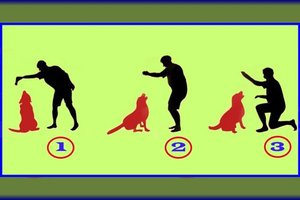 Kuriame paveikslėlyje – tikrasis šuns šeimininkas? Štai ką tai sako apie jus