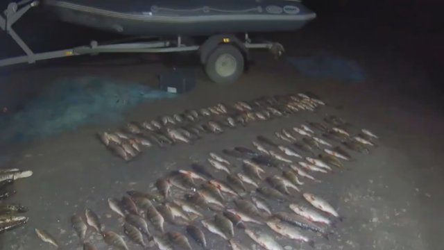 Pareigūnams įkliuvo nelegaliai žvejoję aplinkosaugininkai: konfiskavo valtį ir šimtus žuvų