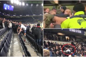 Po fiasko Anglijoje – „Tottenham Hotspur“ žaidėjo įsiūtis: tribūnose gelbėjo užpultą brolį