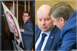 R. Karbauskis apie S. Malinausko pareiškimą: „Jis pažemino visus“