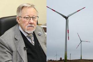 V. Landsbergis: „Agitacija prieš žaliąją energetiką labai gerai apmokama“