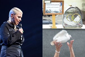 Dėl vestuvininkų pamėgtų balandžių – didelis ginčas: pasipiktino ir J. Arlauskaitė-Jazzu