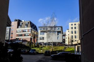 Gerą nuotaiką sugadinti ne taip paprasta:   NT rinkos joks virusas nepuola