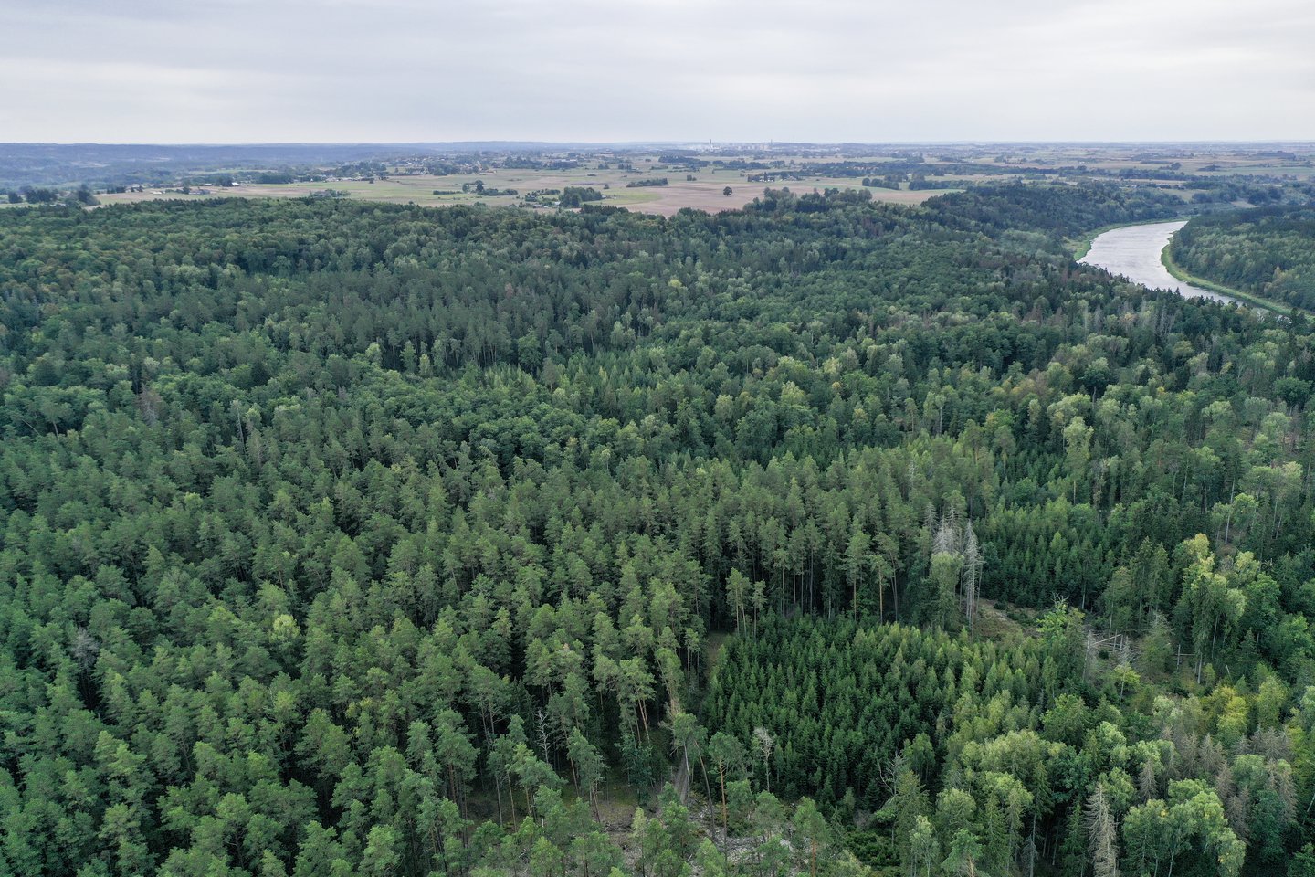 Teismas penktadienį pranešė patenkinęs Baltijos aplinkos forumo skundą tarnybai ir panaikino skundžiamą įsakymą.<br>V.Ščiavinsko nuotr.