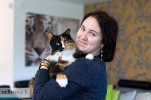 Katė iš prieglaudos turi charakterį, kuris neprimena lauke gyvenusio gyvūno