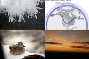 Klimatologas: pavasario šiluma – tik pirmas įspūdis