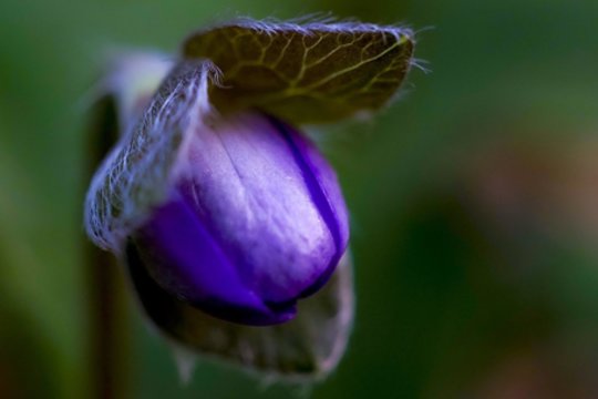 Džiugios naujienos išsiilgusiems šilumos: kita savaitė bus ypatinga