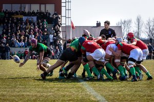 Lietuvos regbininkai priešinosi olandams, bet po pertraukos buvo sutriuškinti