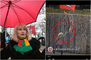 „Laisvės kalvą“ dažais apipylusi lietuvių kalbos mokytoja teismų neįtikino, kad tai buvo performansas