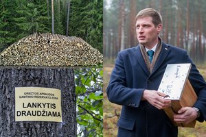 Po teismo sprendimo dėl Punios šilo – aplinkos ministro atsakas