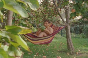 „Kino pavasario“ trumpametražių filmų naktį atidarys naujausias Yorgo Lanthimo filmas