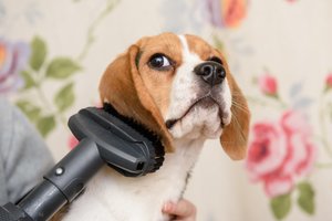 2 dalykai, kaip galima pagerinti jūsų nenaujo dulkių siurblio veikimą