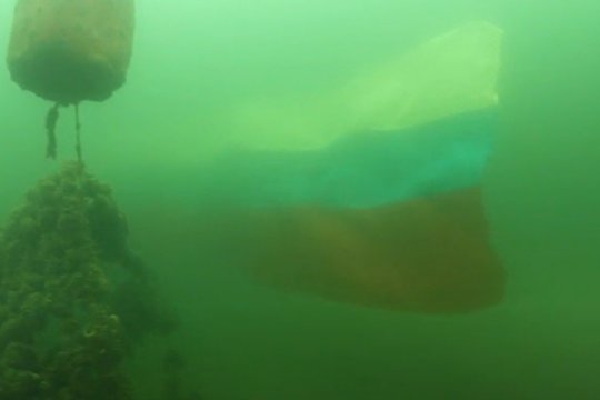 Lietuvoje po vandeniu suplevėsavo milžiniška 11 metrų ilgio trispalvė