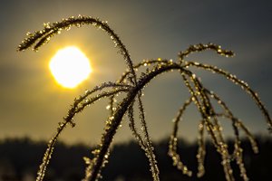 Savaitgalis leis atsikvėpti nuo audros įtampos: sulauksime sniego, šaltuko ir saulės