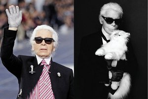 Kam iš tiesų priklausė garsioji Karlo Lagerfeldo paveldėtoja katė? 