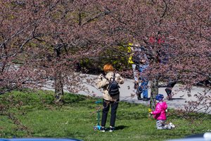 Po šalį nusiaubusios audros – klimatologo prognozė