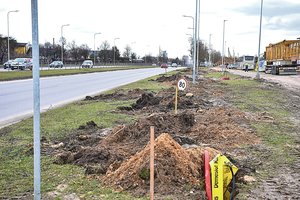 Keliui į sodininkų bendriją Vilniaus valdžia paaukojo 24 liepas