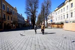 Nuo neregėtų aukštumų iki staigaus kritimo: verslas jau pajuto smūgį