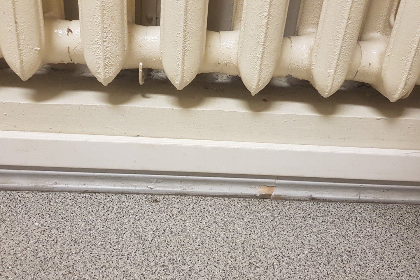 Koronaviruso šmėkla Lietuvoje: įtarus užkratą ligoninėje marino badu iki ašarų.<br> A.Kuznecovaitės nuotr.